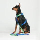 Lime Wave Harness