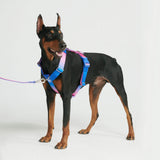 Snow Cone Harness