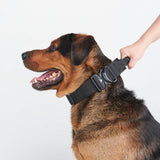 Black Collar