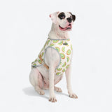 Dog Cooling Vest - Kiwi
