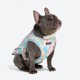 Popsicle Cooling Vest