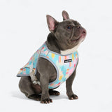 Dog Cooling Vest - Popsicles