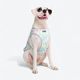 Popsicle Cooling Vest