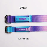 Comfort Control Collar - 90s Retro