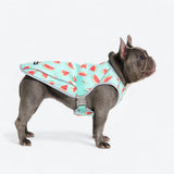Watermelon Cooling Vest