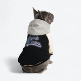 Black Varsity Jacket