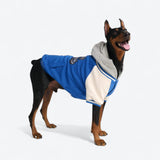 Blue Varsity Jacket