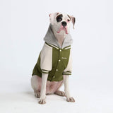 Olive Varsity Jacket