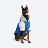 Blue Varsity Jacket