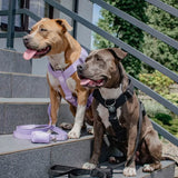 Vintage Flower Human Hoodie - Light Grey