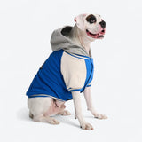 Blue Varsity Jacket