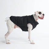 size:3XL