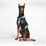 Leash and Poop Bag Holder Set - Kaleidoscope