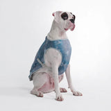 Ice Blue Cooling Vest