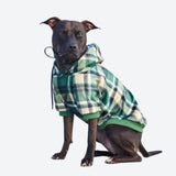 Green Plaid Dog Hoodie