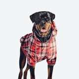 Red Plaid Dog Hoodie