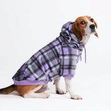 Purple Plaid Dog Hoodie