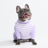 Dog Pajama - Purple Stripes