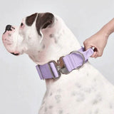 Lilac Collar