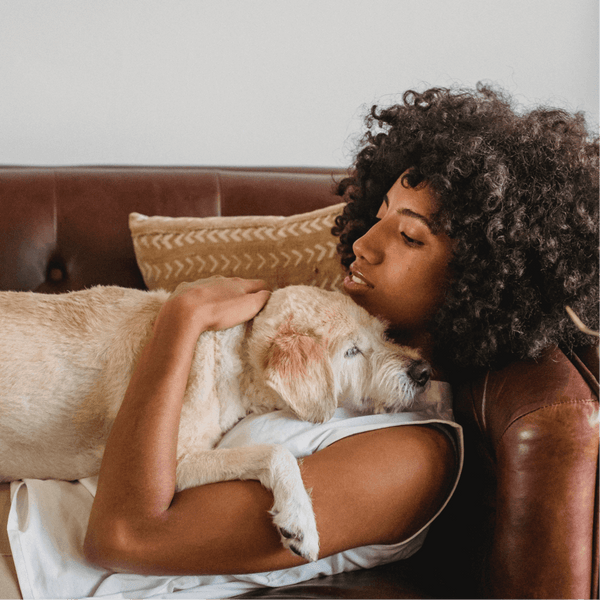 10 Ways to Celebrate National Love Your Pet Day