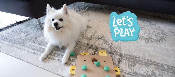 Fun Dog Training Games to Keep Your Dog Engaged.