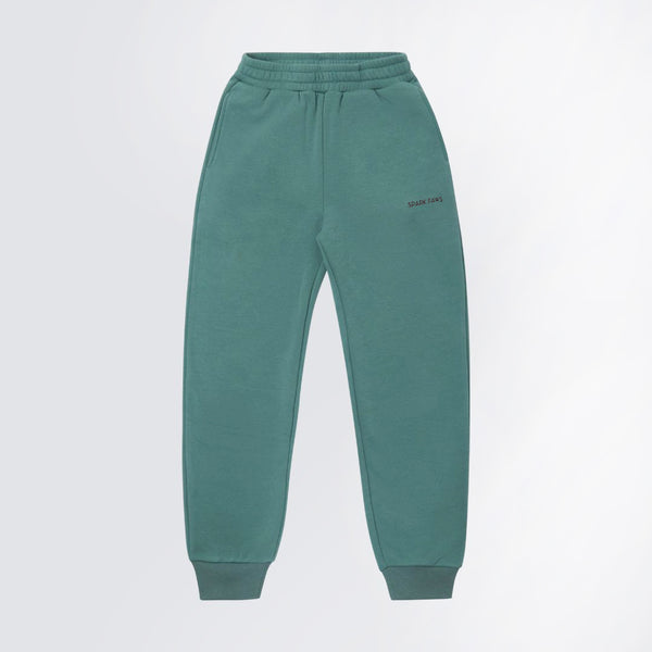 Pantalones Esenciales - Verde Azulado