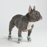 Hot Pavement Pawtector Dog Shoes (Multi Color)