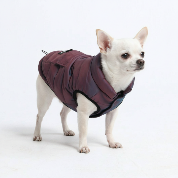 Cosmic Warmshield Jacket||size:S,M