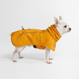 Dog Raincoat - Yellow||size:S,M