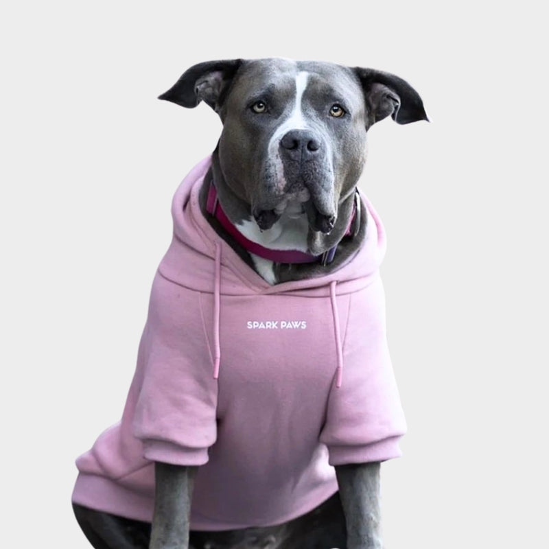 Essential Dog Hoodie - Purple Taupe