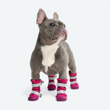 Stivali per cani Flex Shell resistenti all'acqua - Camo Fucsia