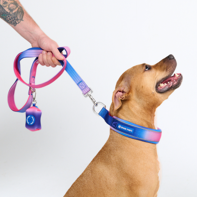 Snow Cone Martingale Collar||size:C,D,E