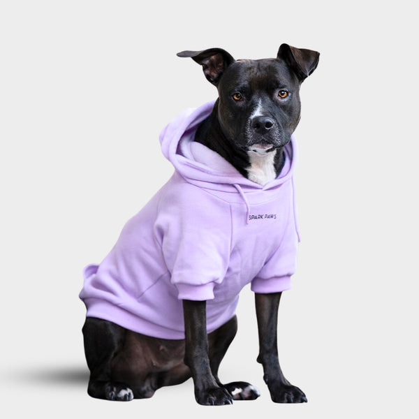 Sudadera Esencial para Perros - Orquídea