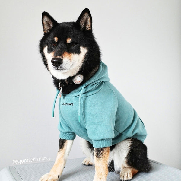 Sudadera Esencial para Perros - Verde Azulado