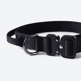 Comfort Control Collar Set - Black