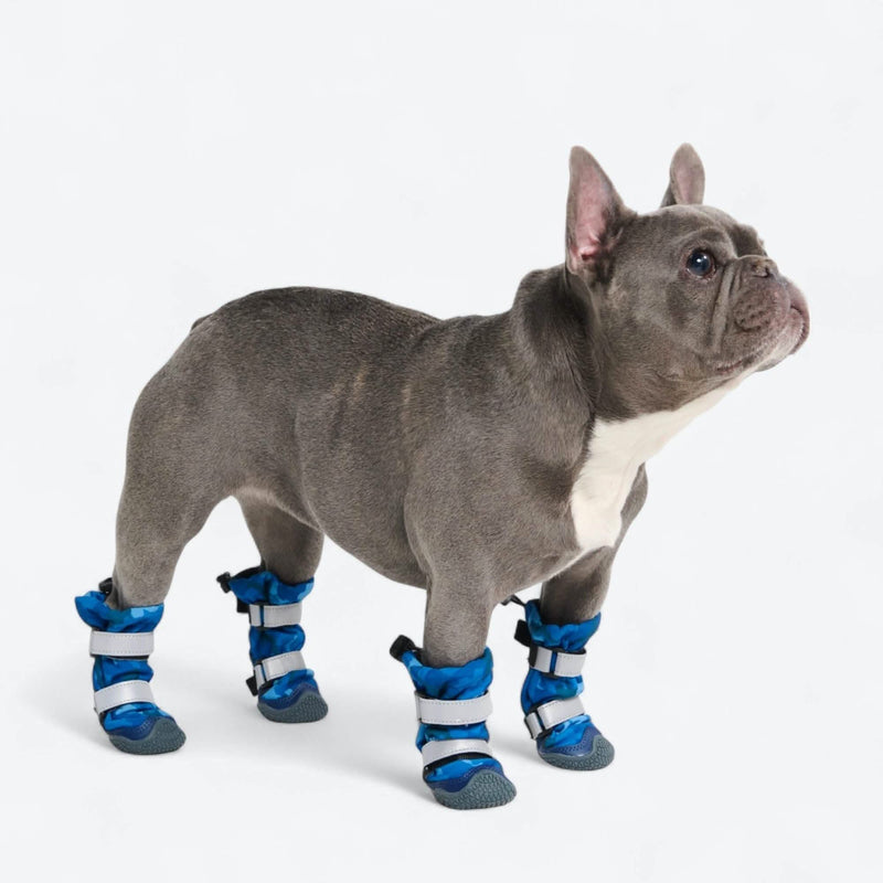 Stivali per cani Flex Shell impermeabili