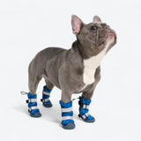 Stivali per cani Flex Shell impermeabili
