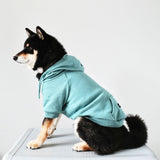 Pull à Capuche Essentiel Pour Chien - Sarcelle