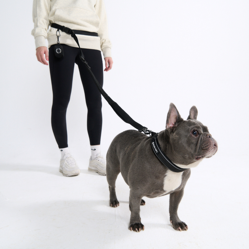 Black Neoprene Leash