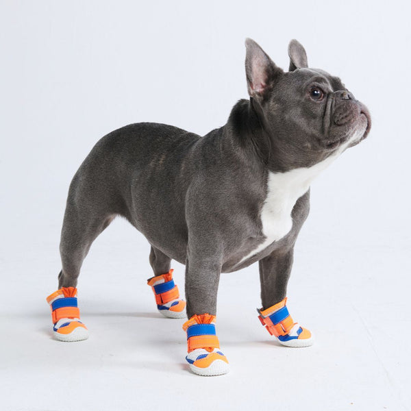 Scarpe per cani Hot Pavement Pawtector - Arancione Blu