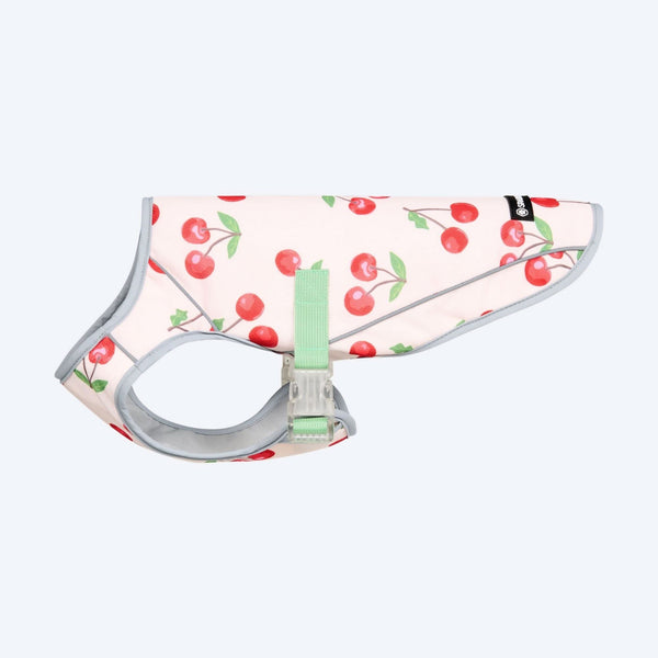 Gilet rinfrescante per cani - Ciliegie