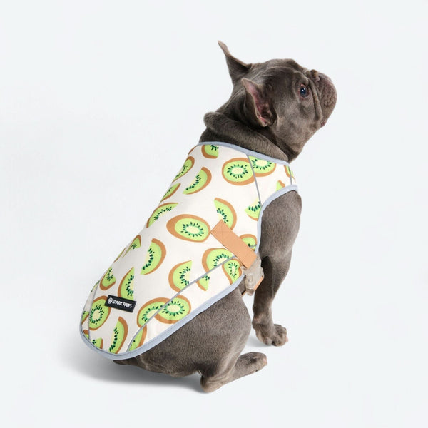 Gilet rinfrescante per cani - Kiwi