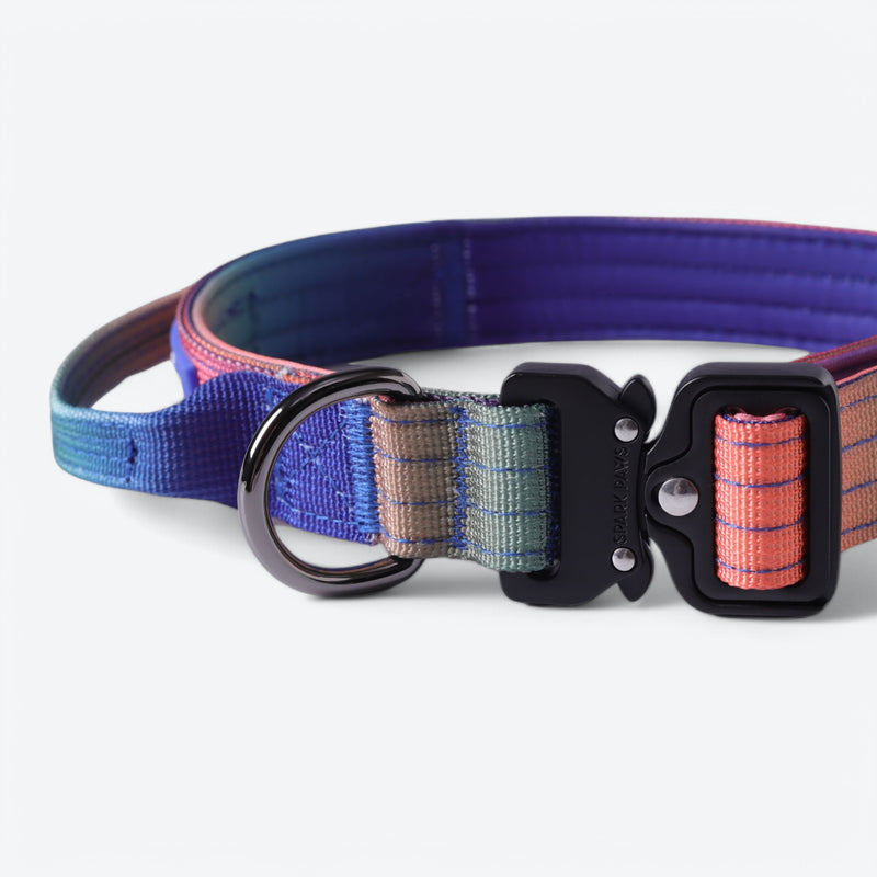 Juego de collar táctico para perros - Kaleidoscope