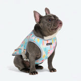 Dog Cooling Vest - Popsicles