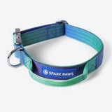 Conjunto de collar táctico para perros - Lime Wave