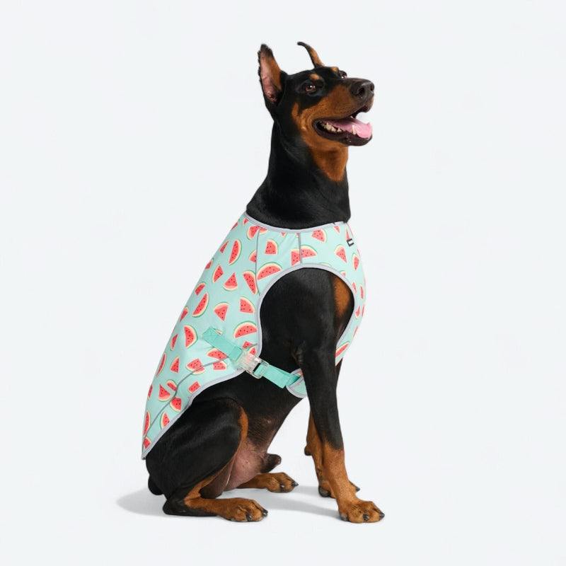 Gilet rinfrescante per cani - Anguria