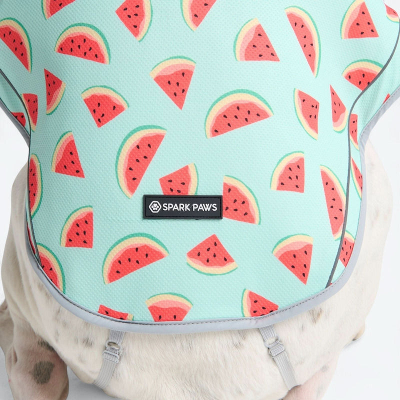 Gilet rinfrescante per cani - Anguria
