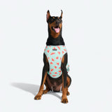 Gilet rinfrescante per cani - Anguria
