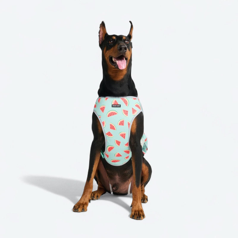 Gilet rinfrescante per cani - Anguria