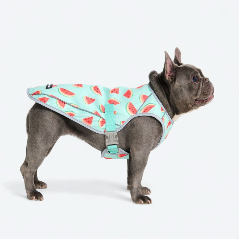 Gilet rinfrescante per cani - Anguria